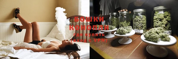 PSILOCYBIN Баксан