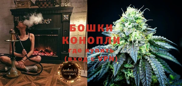 PSILOCYBIN Баксан