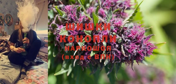 PSILOCYBIN Баксан
