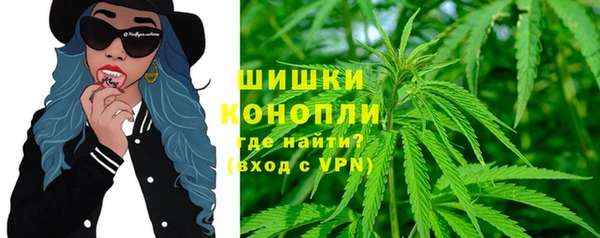 PSILOCYBIN Баксан